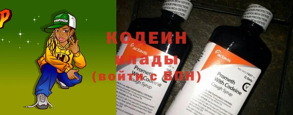 прущие грибы Валдай