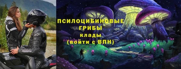 герыч Алзамай