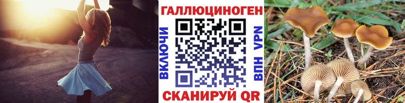 Псилоцибиновые грибы Psilocybine cubensis  omg зеркало  Белокуриха 