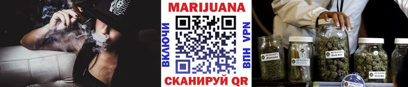 Бошки марихуана сатива  купить закладку  Белокуриха 